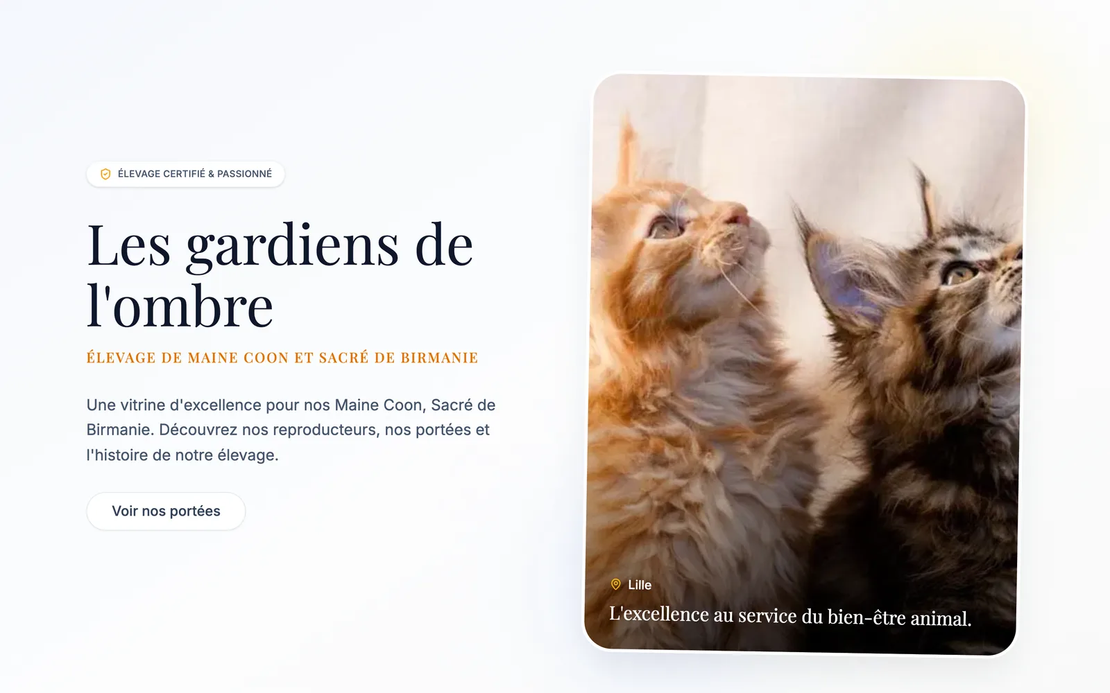 Site d'élevage créé avec Éleveurs du Web, vu sur ordinateur